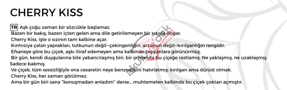 Flowers Box Cherry kiss 4/9